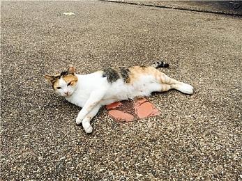 《黑神话：悟空》主美杨奇：DLC还在酝酿 再给点时间